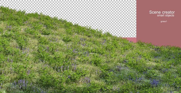 Rendering 3D di varie erbe