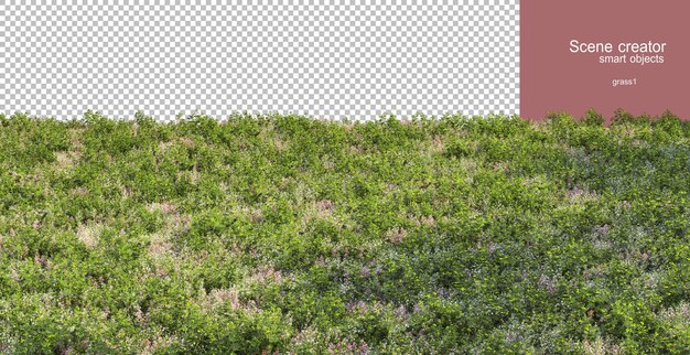 Rendering 3D di varie erbe