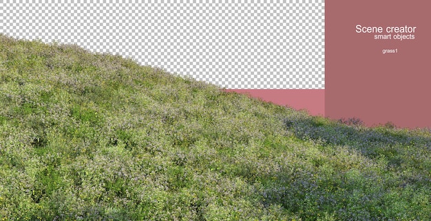 Rendering 3D di varie erbe