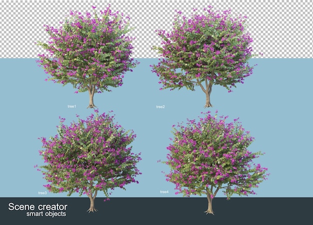 Rendering 3D di varie specie di alberi