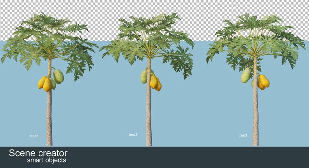 Rendering 3D di varie specie di alberi