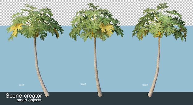Rendering 3D di varie specie di alberi