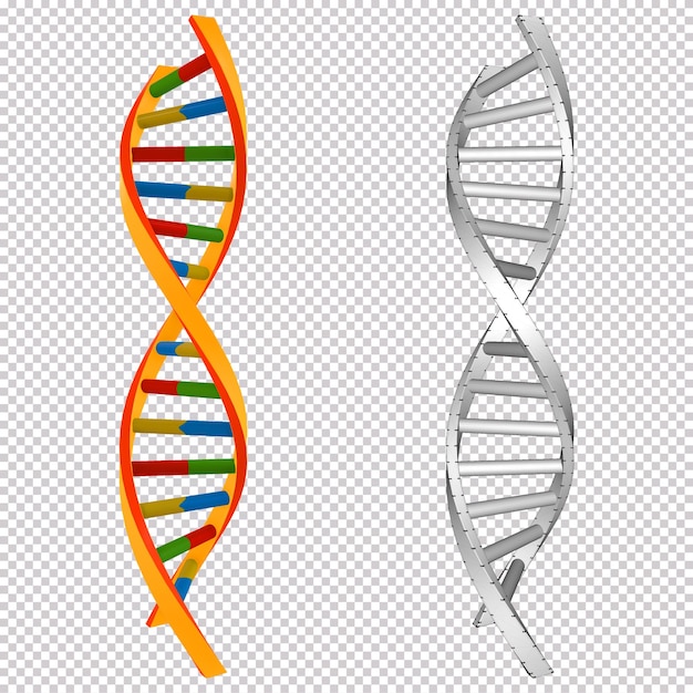 Rendering 3D e gene del DNA colorato senza rendering