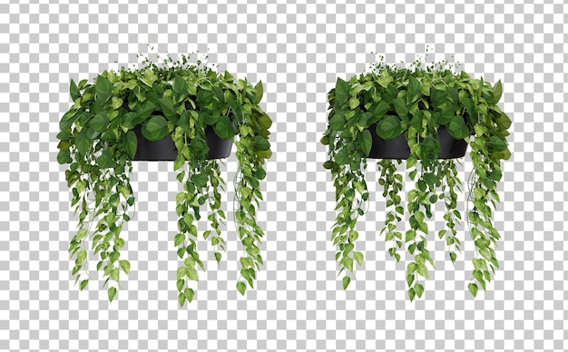 Rendering 3d in vaso di piante sospese isometriche