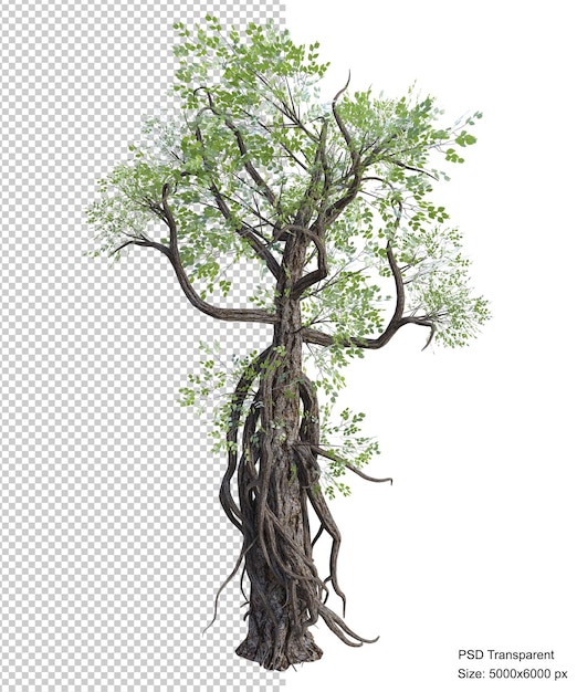 Rendering 3d isolato albero fantastico