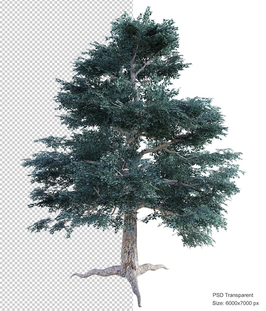 Rendering 3d isolato albero fantastico