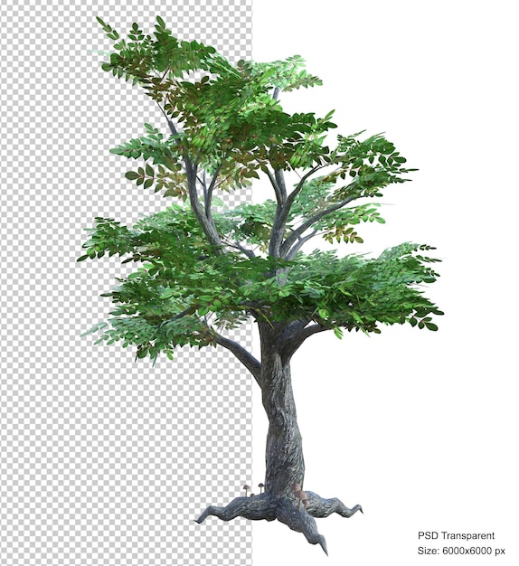 Rendering 3d isolato albero fantastico