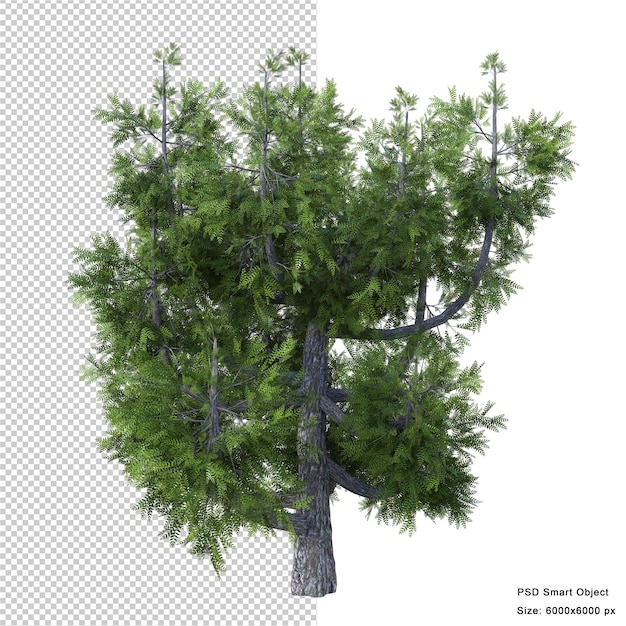 Rendering 3d isolato albero fantastico