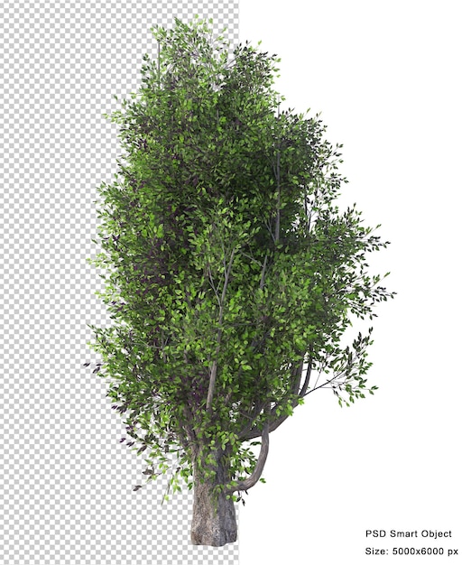 Rendering 3d isolato albero fantastico