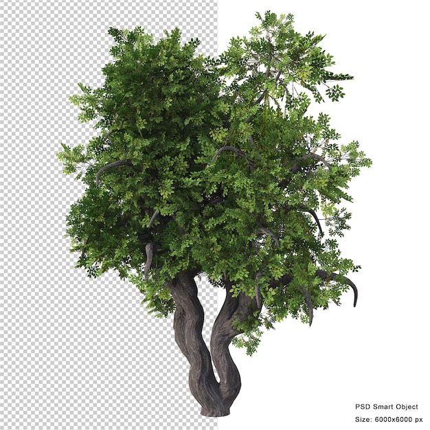 Rendering 3d isolato albero fantastico