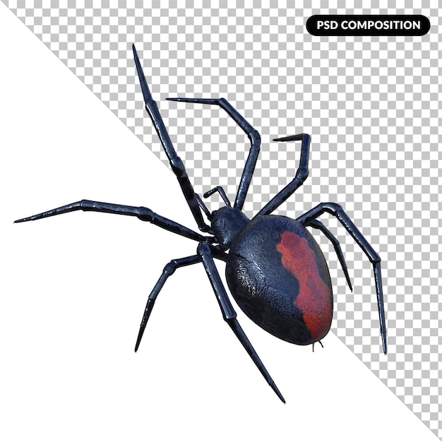 Rendering 3d isolato ragno