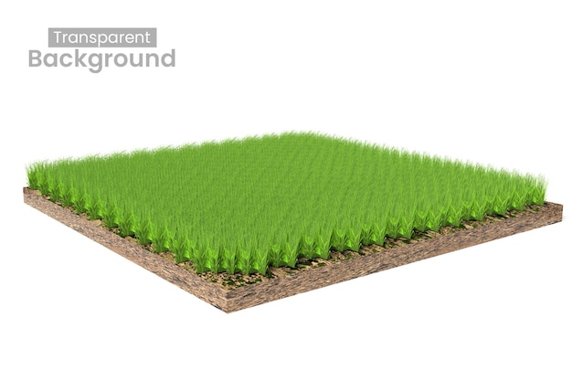 Rendering 3D d'une plaque d'herbe avec une section transversale du sol sur un fond transparent