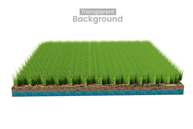 Rendering 3D d'une plaque d'herbe avec une section transversale du sol sur un fond transparent