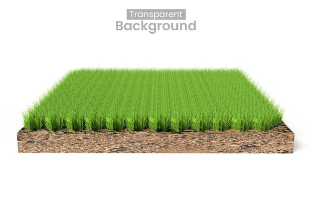 Rendering 3D d'une plaque d'herbe avec une section transversale du sol sur un fond transparent