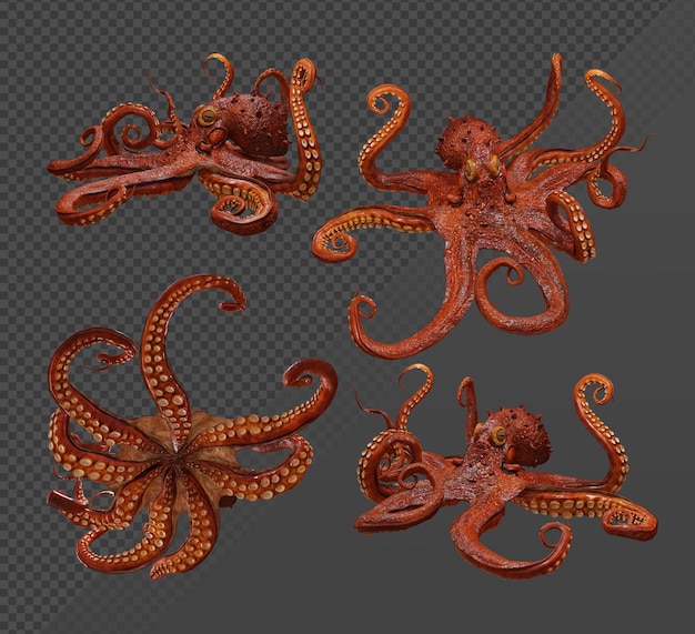 Rendering 3D polpo mare animale oceano calamaro tentacolo invertebrati vista in prospettiva