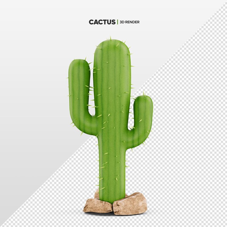 Rendering 3D realistico di cactus isolato per la composizione