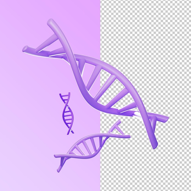 Rendering 3D de la structure de l'ADN
