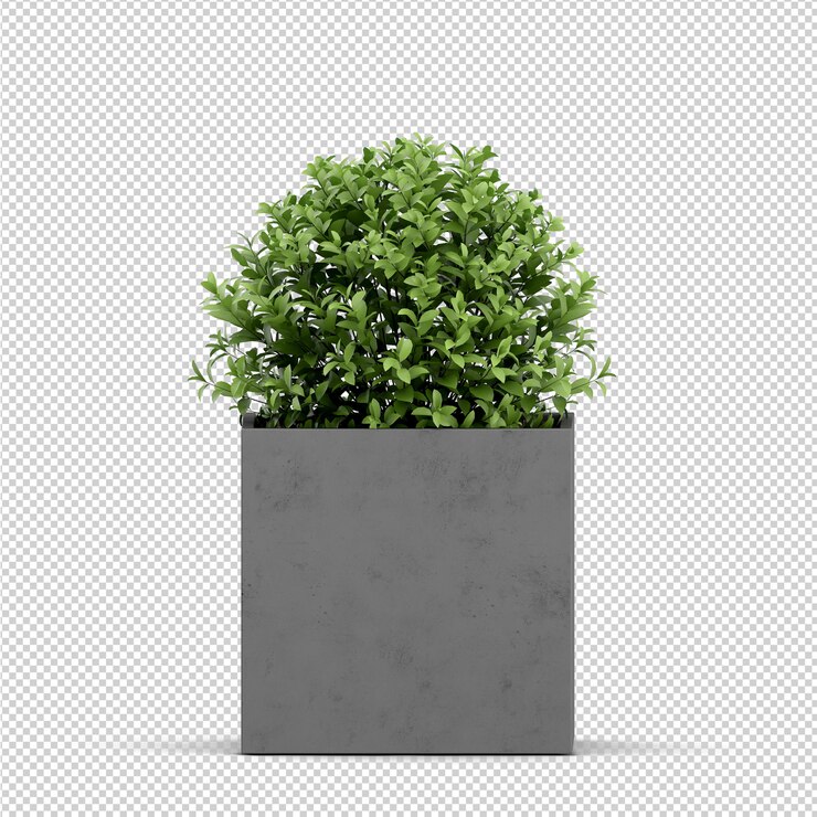 Rendering 3D tanaman isometrik