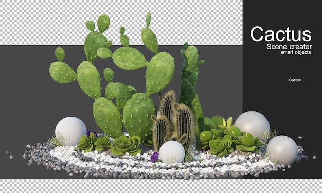 Rendering 3D vari tipi di accordi di cactus