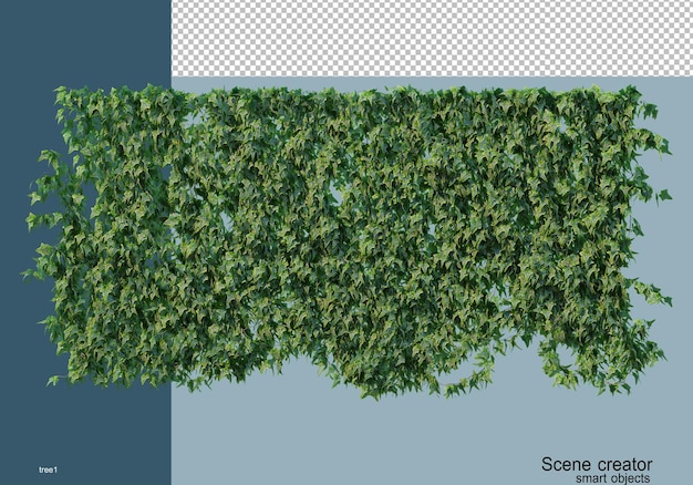 Rendering 3D vari tipi di alberi