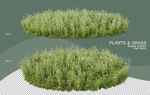 Rendering 3D vari tipi di disposizioni cespuglio