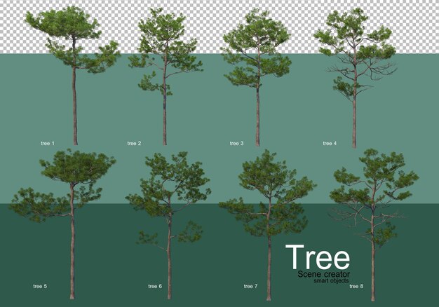 Rendering 3D, vari tipi di layout ad albero
