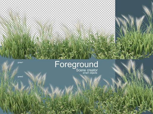 Rendering 3D vari tipi di prati