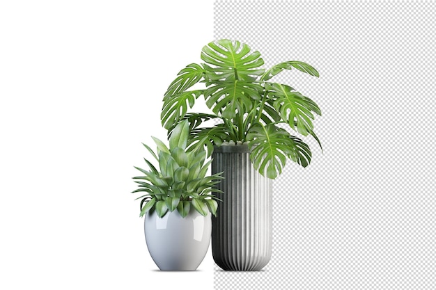 Rendering di piante isolate isometriche