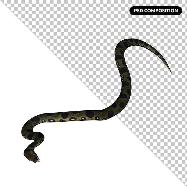 Rendering isolato animale serpente 3D