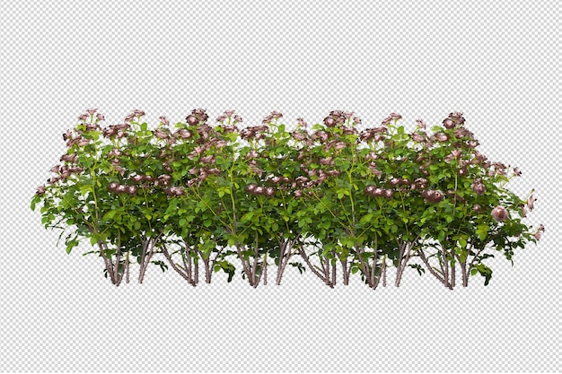 Rendering isometrico di un albero di fiori isolato