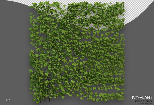 rendering of ivy arrangement variety of styles