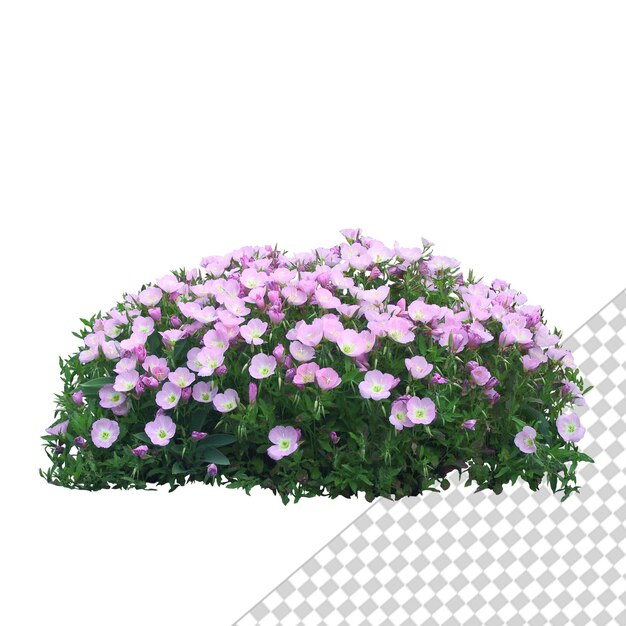 PSD rendering psd 3d d'un arbuste d'herbe rose et vert isolé sur un fond transparent