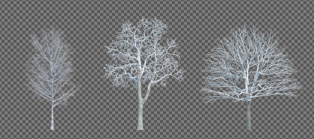 Renderização 3d árvore de inverno com fundo de corte isolado