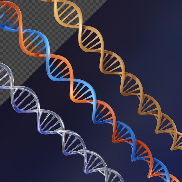 PSD renderização 3d com ilustração múltipla do ângulo de visão da perspectiva do ácido desoxirribonucléico dna