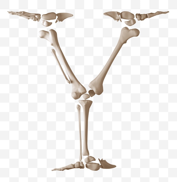 PSD renderização 3d da letra do alfabeto feito de ossos humanos arquivo psd isolado