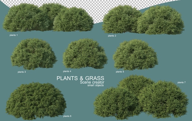 Renderização 3D de arranjos de grama e arbustos