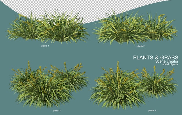 Renderização 3d de arranjos de grama e arbustos