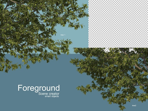 Renderização 3D de árvores foregroung isoladas