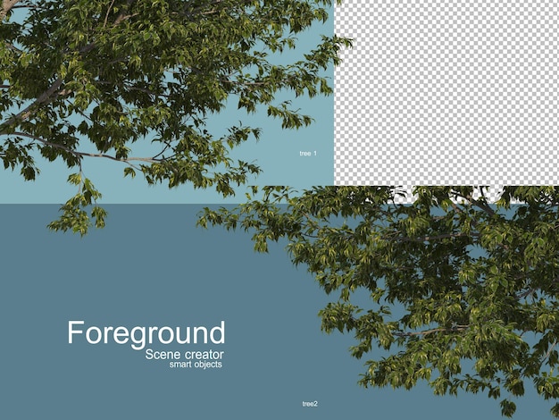 Renderização 3D de árvores foregroung isoladas
