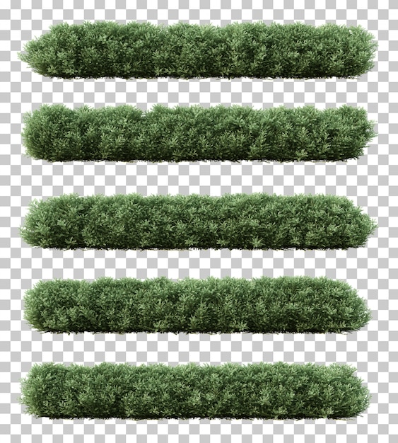 Renderização 3D de azeitona anã