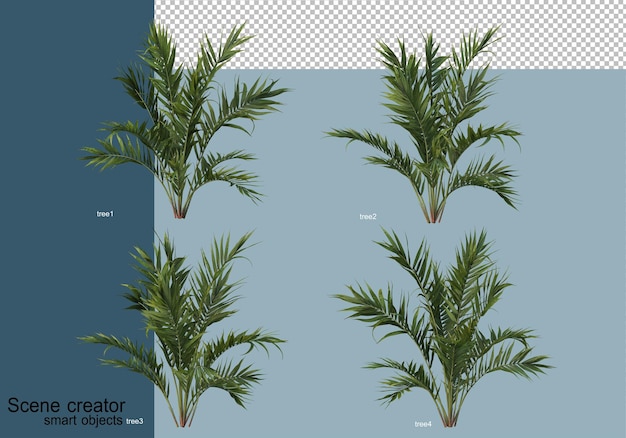 Renderização 3D de belas árvores em vários ângulos isolados
