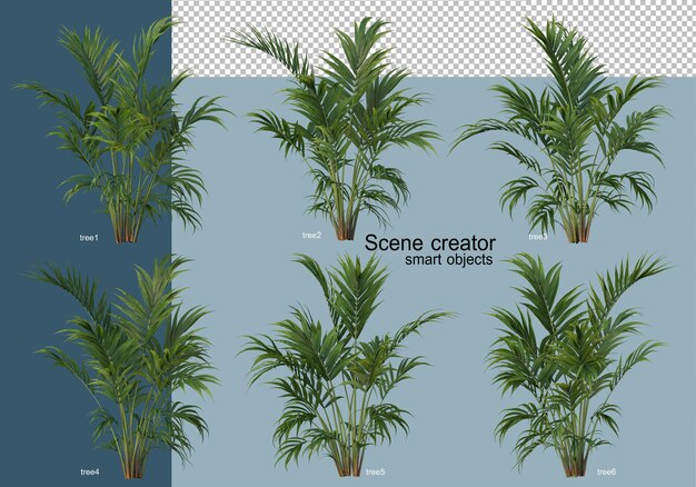 PSD renderização 3d de belas árvores em vários ângulos isolados