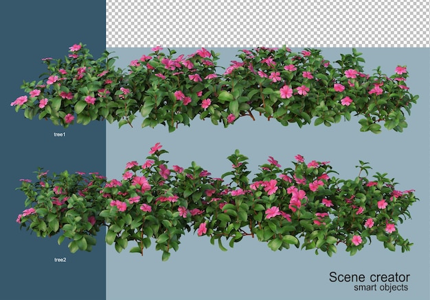 PSD renderização 3d de belas plantas em vários ângulos isolados