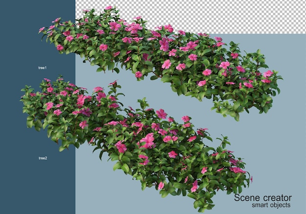 Renderização 3d de belas plantas em vários ângulos isolados