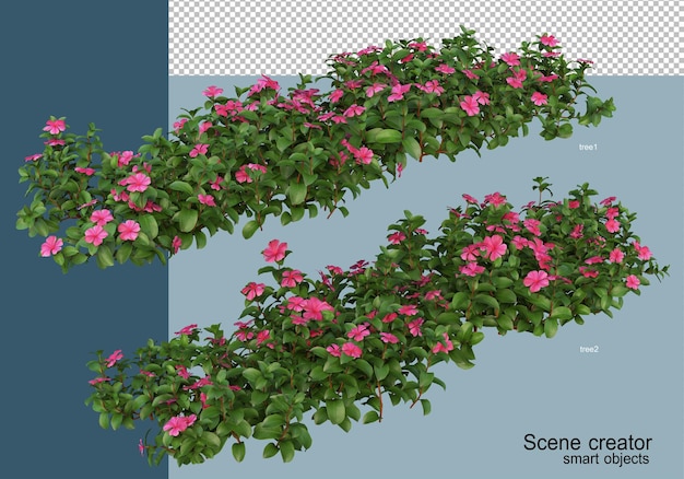 Renderização 3d de belas plantas em vários ângulos isolados