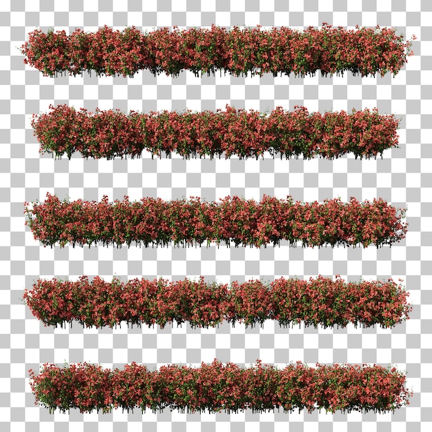 Renderização 3D de buganvílias