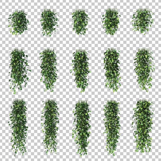 Renderização 3D de Epipremnum aureum
