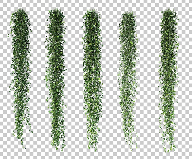 Renderização 3D de Epipremnum aureum