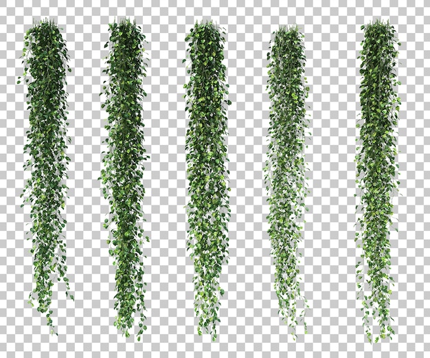 Renderização 3d de epipremnum aureum