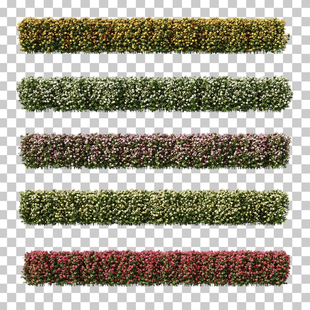 Renderização 3D de Euphorbia milii